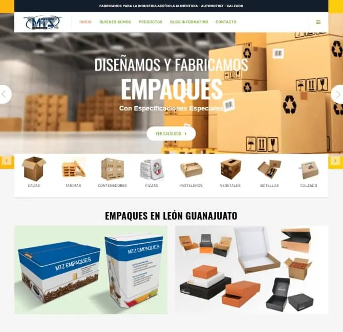 Páginas Web CDMX México